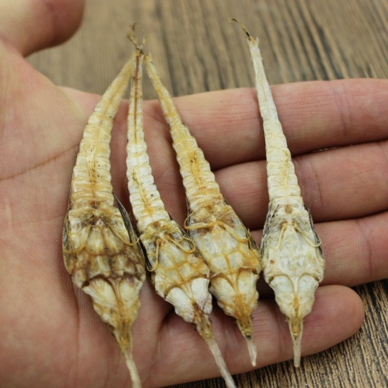 包邮正品海燕供应上千种中药材