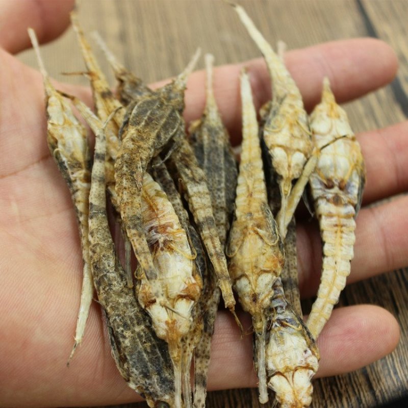 包邮正品海燕供应上千种中药材