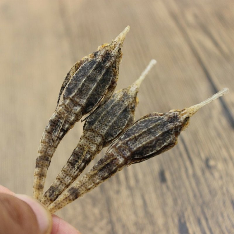 包邮正品海燕供应上千种中药材