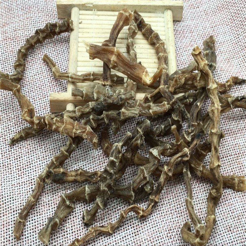 地参虫草参供应上千种中药材