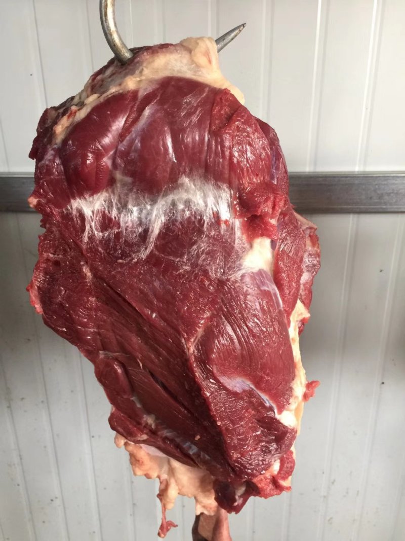 驴肉新鲜无注水驴肉新鲜现宰大量供应带皮不带皮