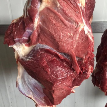 驴肉新鲜无注水驴肉新鲜现宰大量供应带皮不带皮