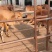 🐮黄牛牛犊🐮包运输，包成活，包回收...