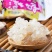 缅甸特级雪燕原装进口级