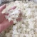 缅甸特级雪燕原装进口级