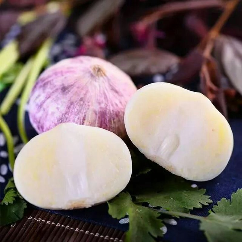 独头紫皮蒜，一元硬币大小，