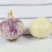 独头紫皮蒜，一元硬币大小，
