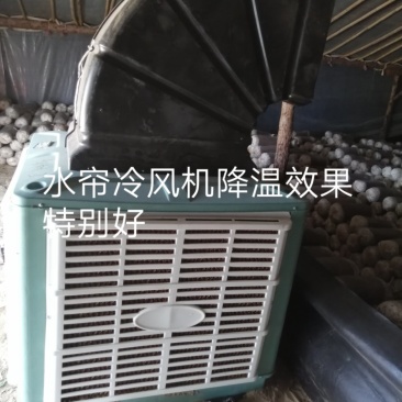 出售水帘冷风机适合蘑菇棚蔬菜大棚猪舍鸡舍等