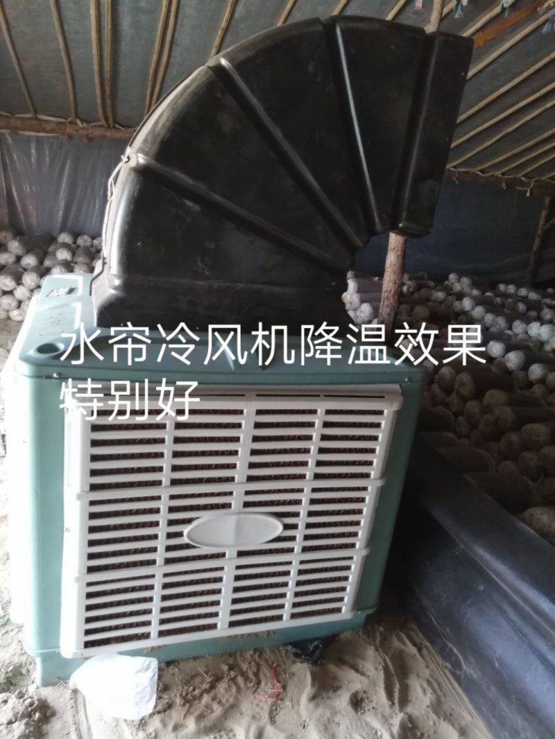 出售水帘冷风机适合蘑菇棚蔬菜大棚猪舍鸡舍等