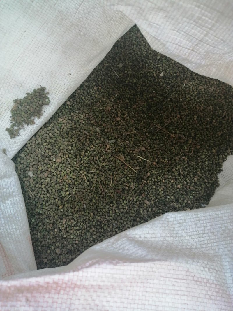 野胡麻，麦黄草百蕊草种子