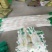 园艺植物加粗九股爬藤网瓜果吊瓜蒜黄菊花种植方格网粗攀爬网