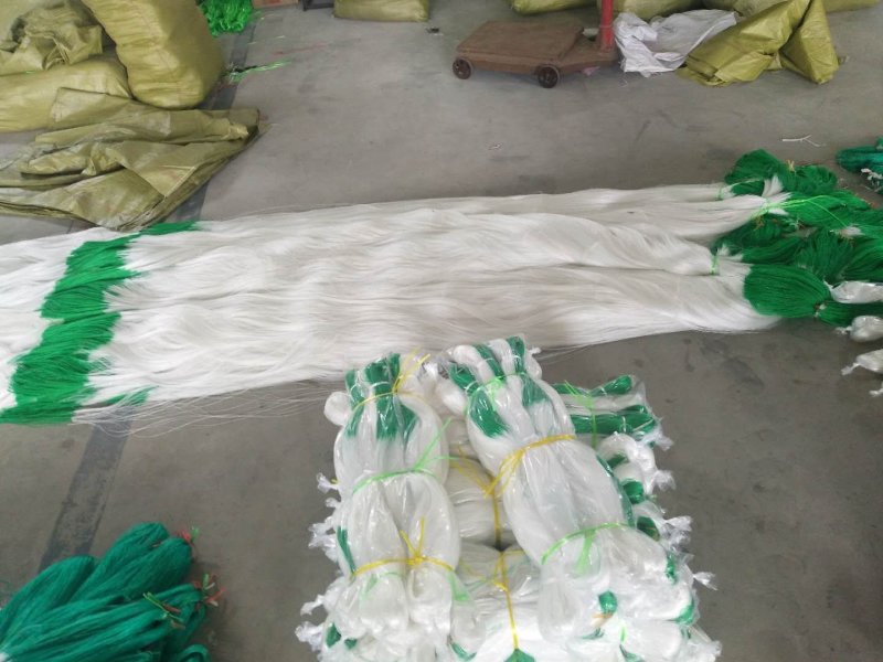 园艺植物加粗九股爬藤网瓜果吊瓜蒜黄菊花种植方格网粗攀爬网