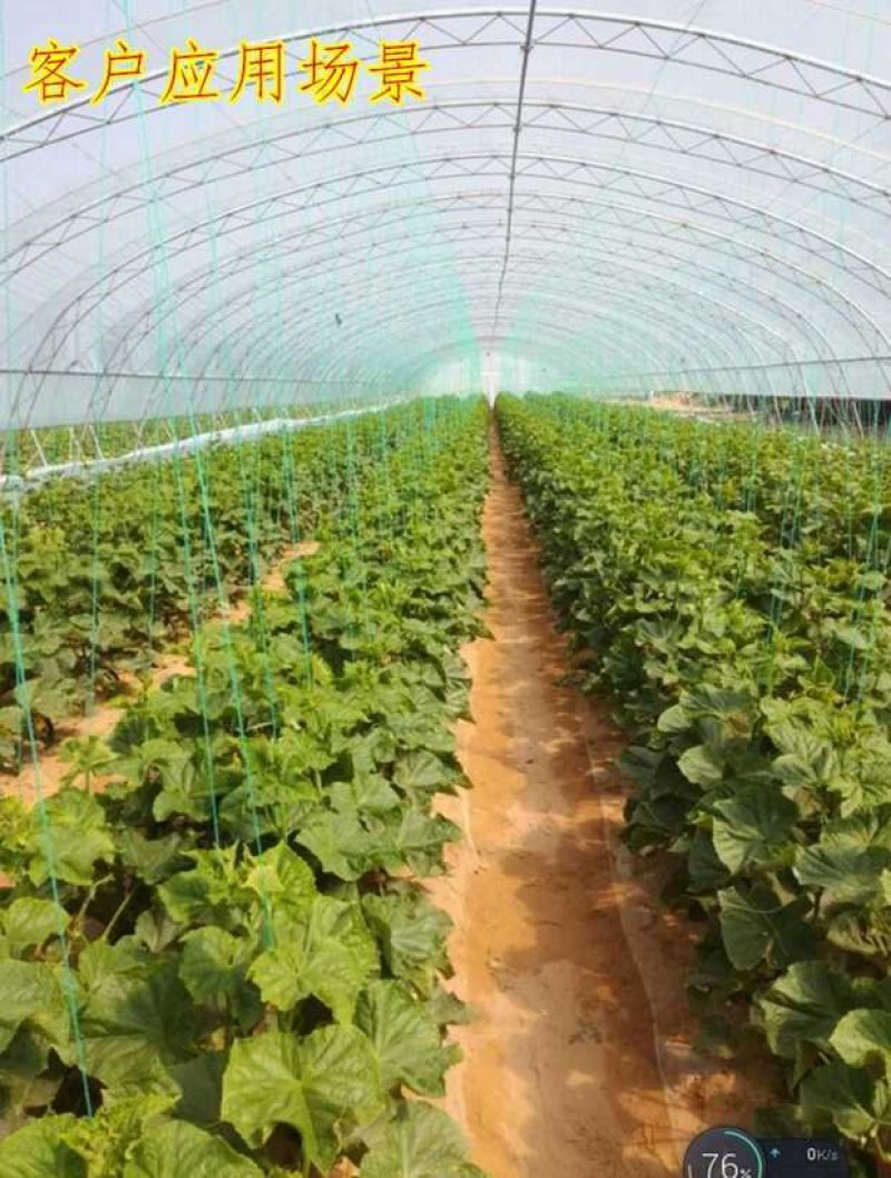 园艺植物加粗九股爬藤网瓜果吊瓜蒜黄菊花种植方格网粗攀爬网