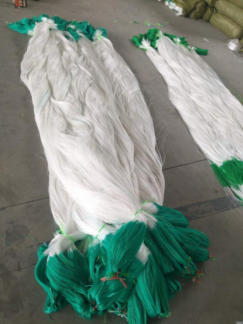 园艺植物加粗九股爬藤网瓜果吊瓜蒜黄菊花种植方格网粗攀爬网