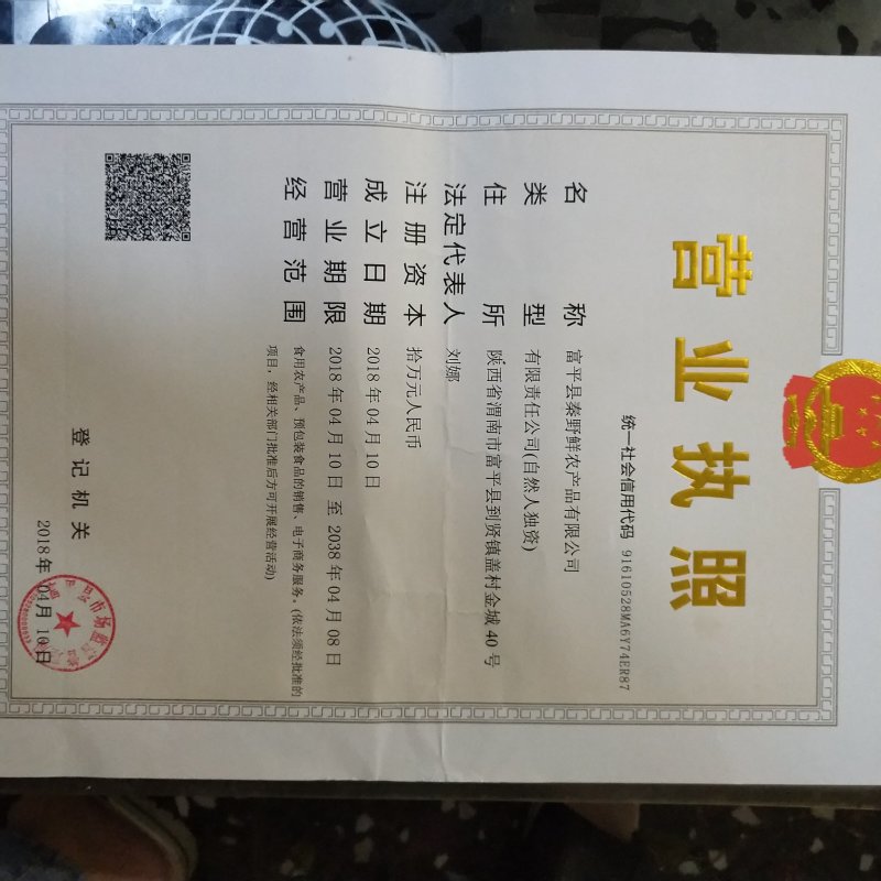 陕西露天毛桃70左右一件代发