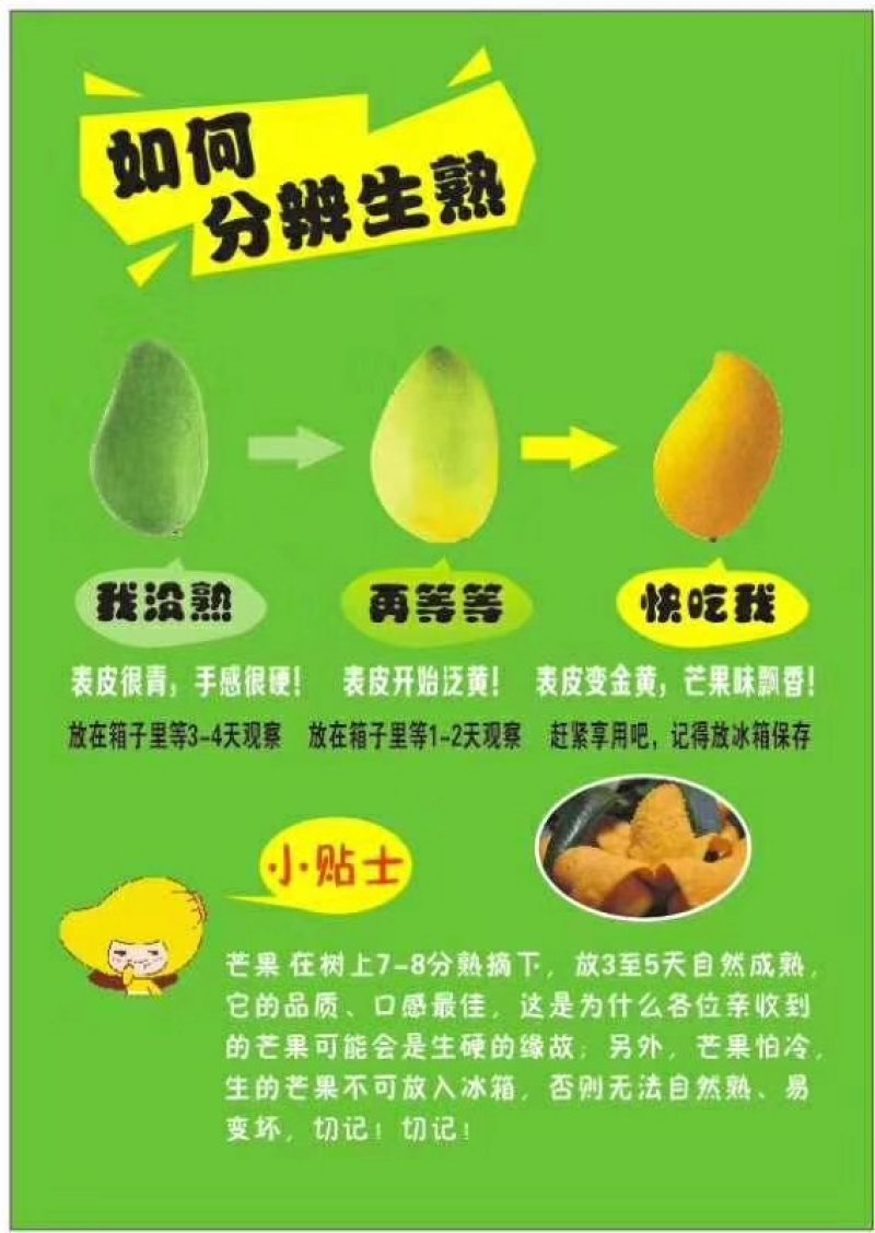 芒果大台农