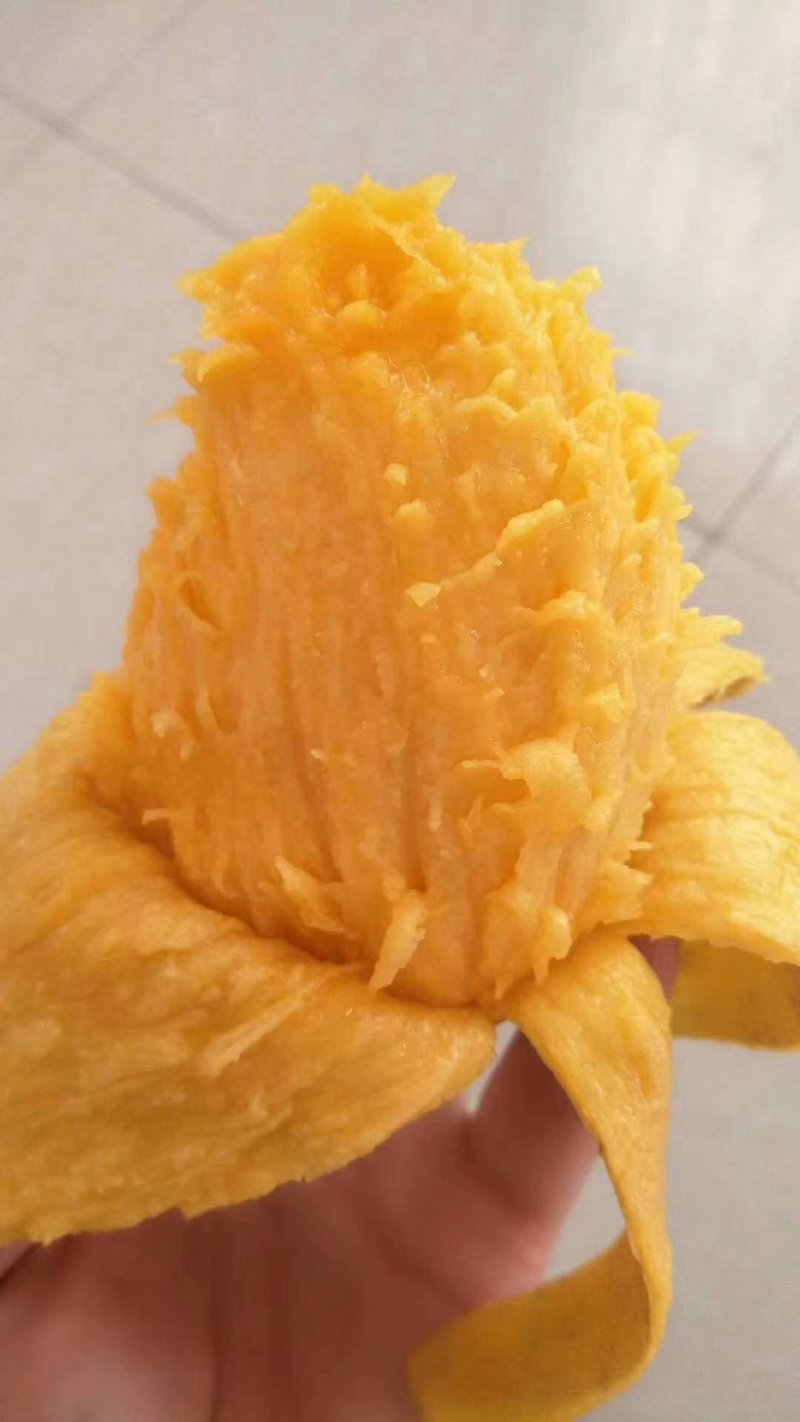 芒果大台农