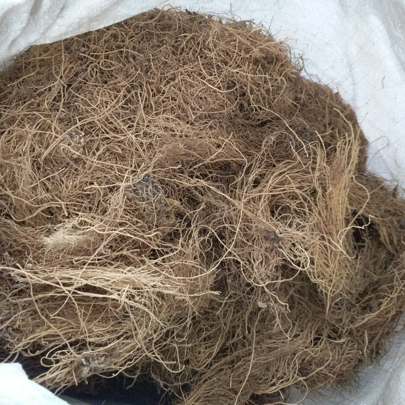 振兴药材批发供应细辛规格齐全产地直供一手货源全国发货