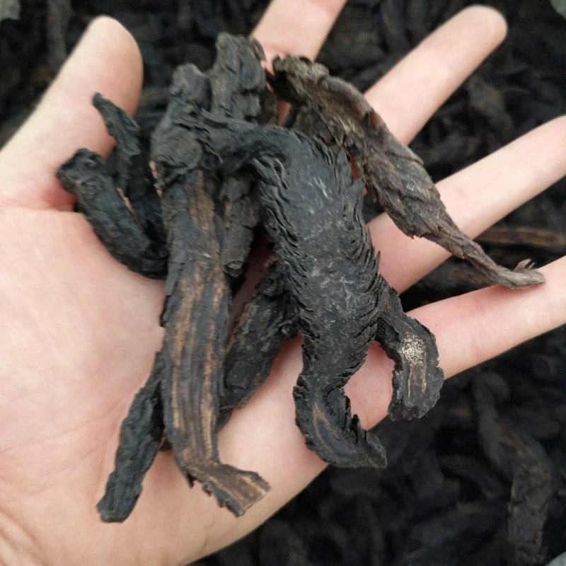 振兴药材批发供应肉苁蓉片规格齐全产地直供一手货源全国发货