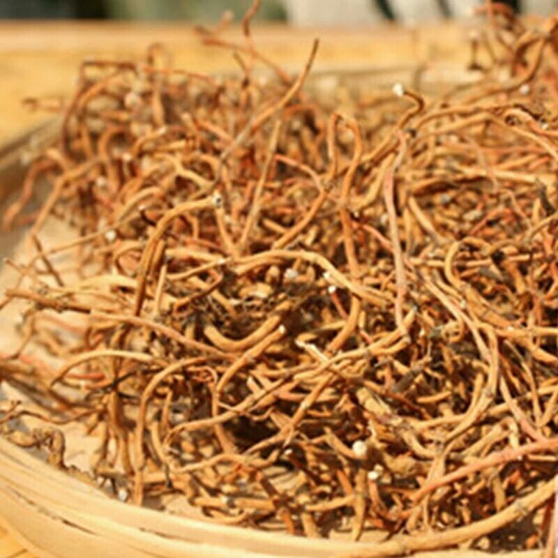 鱼腥草根干货