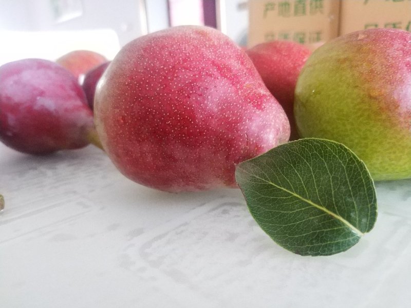 一面红梨～优质货源～欢迎各地客商询价，，，