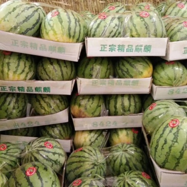 扶沟精品8424美都量大现货包质量品质