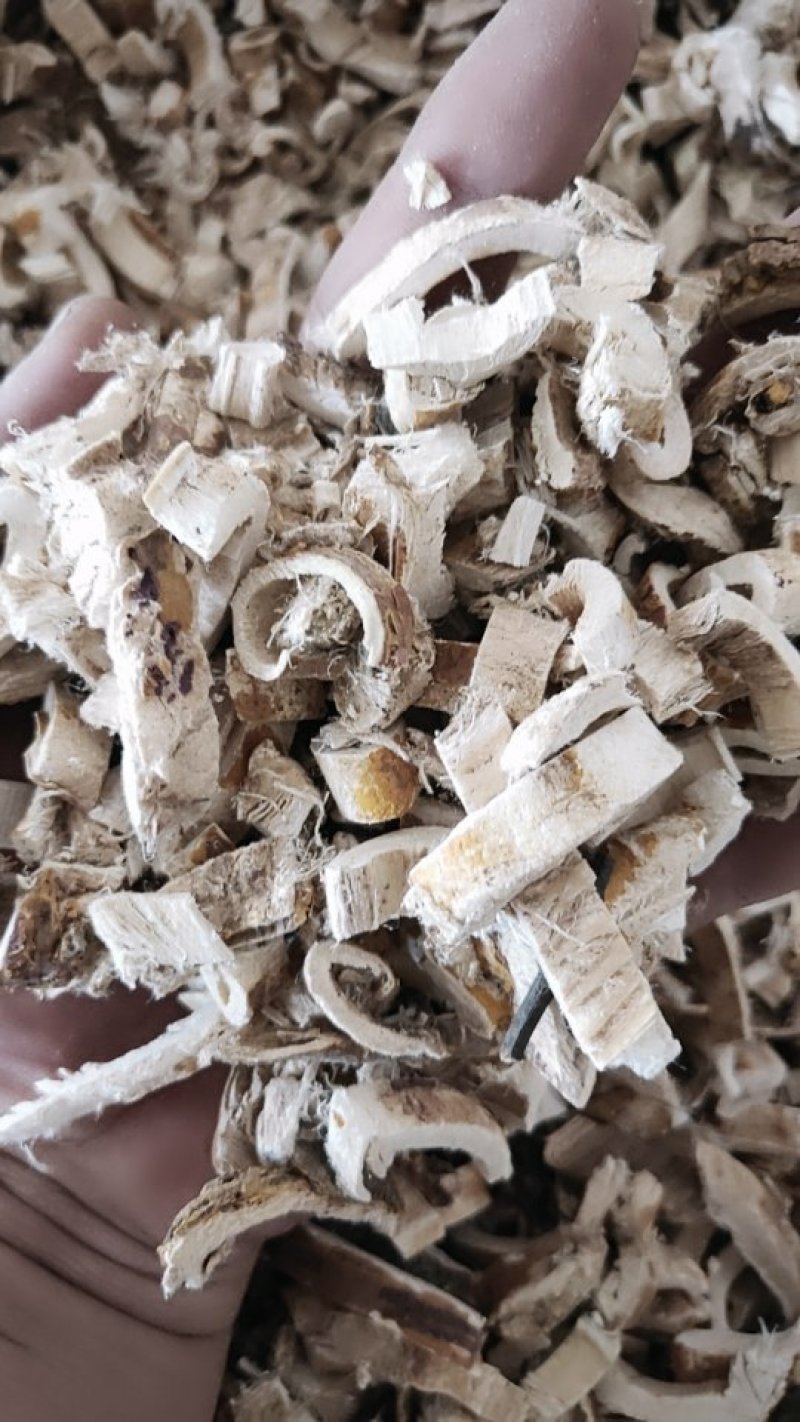 喜慧药业中药材批发白桑皮