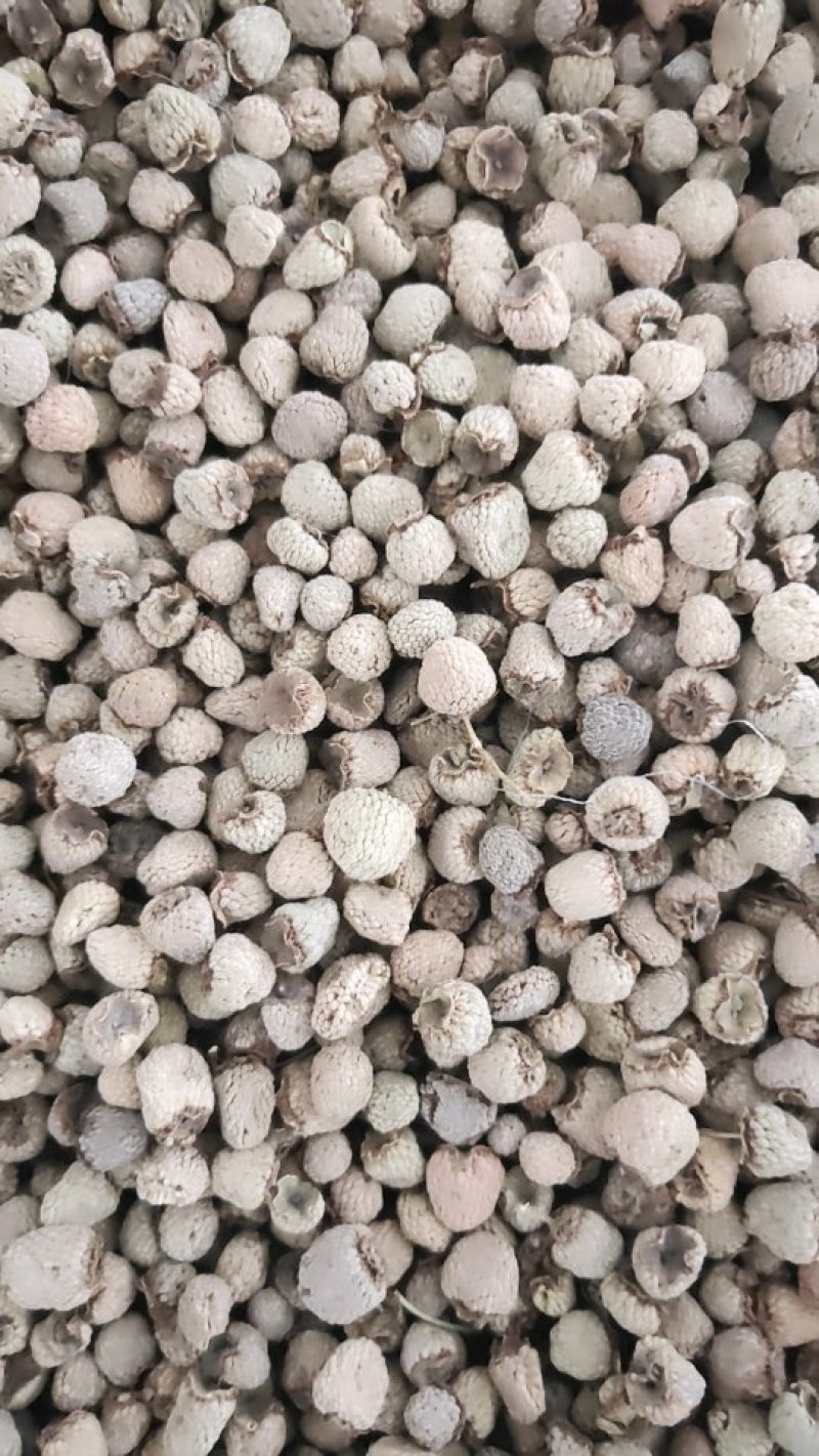 喜慧药业中药材批发覆盆子