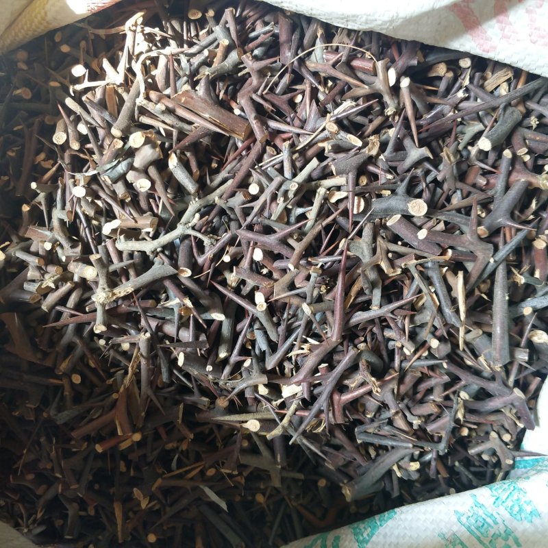 振兴药材批发供应皂针品种齐全