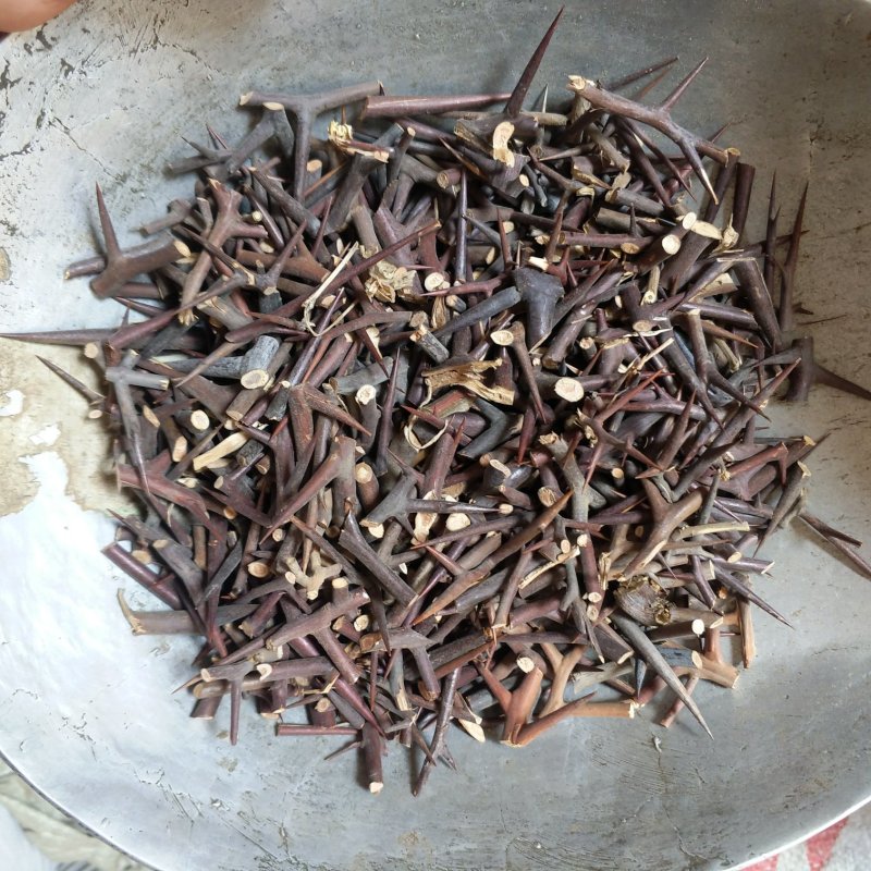 振兴药材批发供应皂针品种齐全