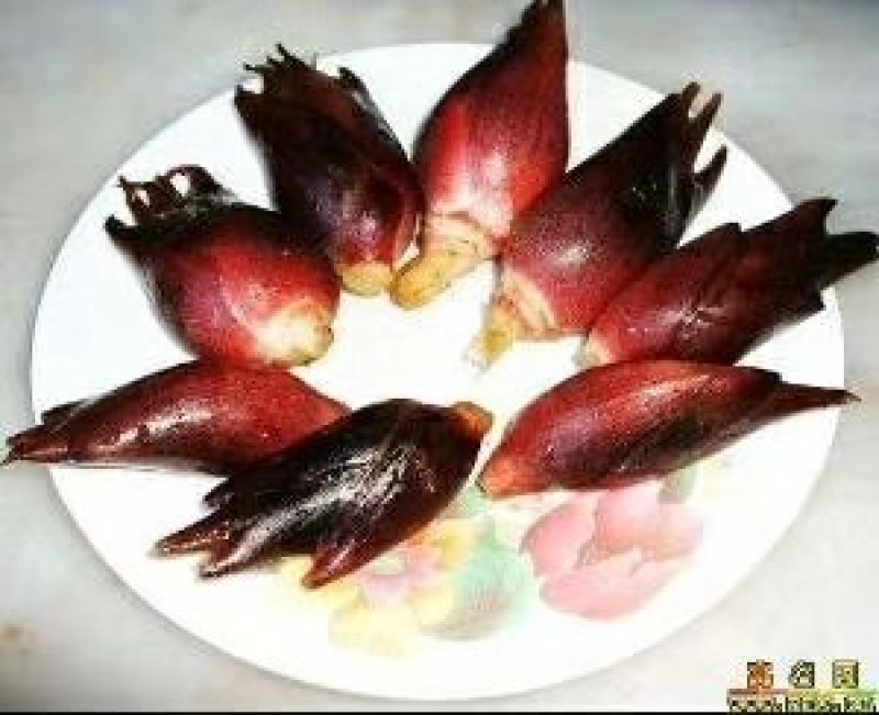 野生阳荷