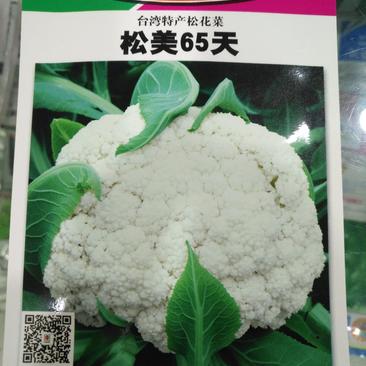 精选青梗松花菜种子，松美65