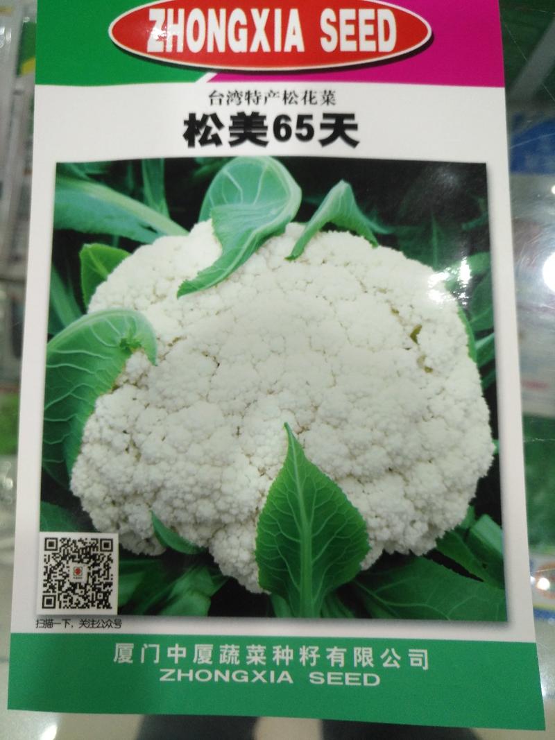 精选青梗松花菜种子，松美65
