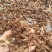 茄子条茄子干干茄子，配送公司，酱菜行业专用。土特产店专用