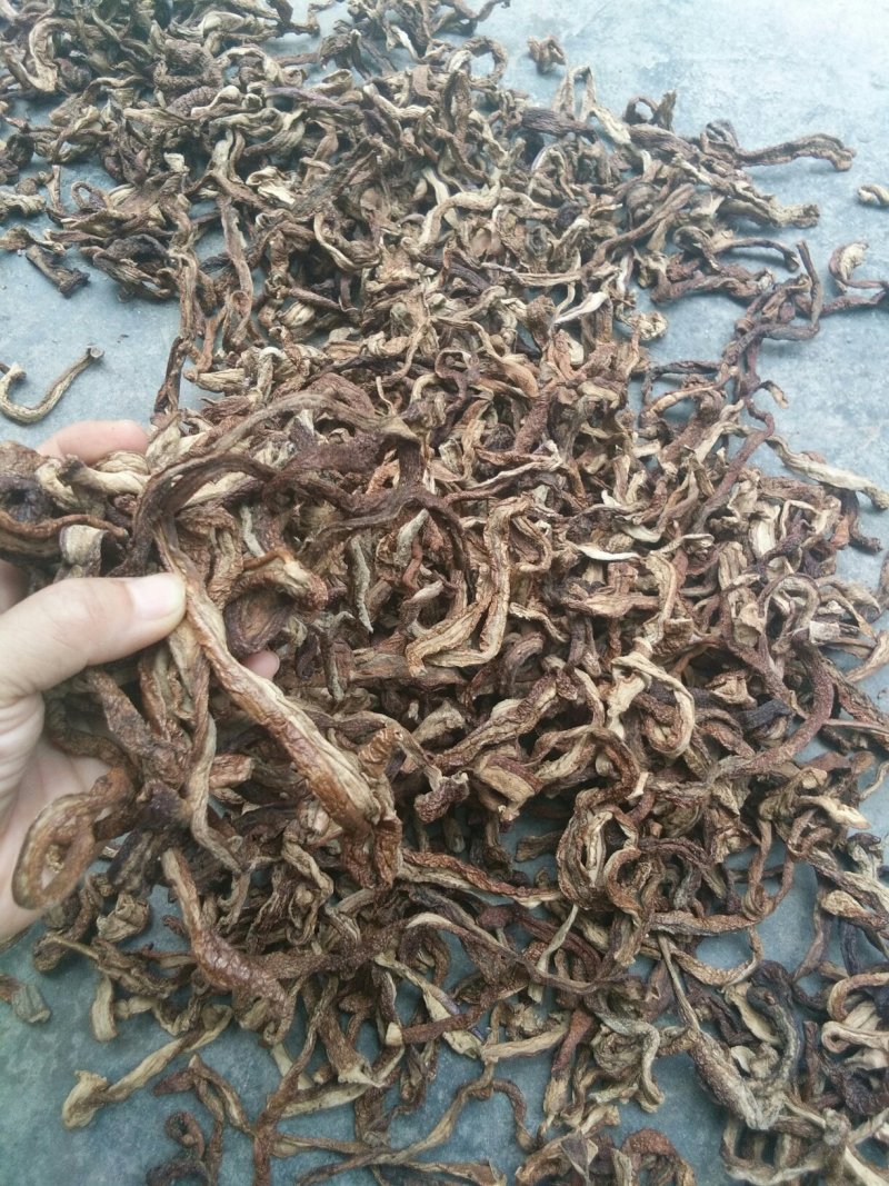 干茄子茄子干茄子条(糯米茄子)酱菜行业，学校食堂餐饮特产
