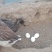 腌制无香雁鹅蛋山东微山湖《铁道游击队》正宗咸鹅蛋。