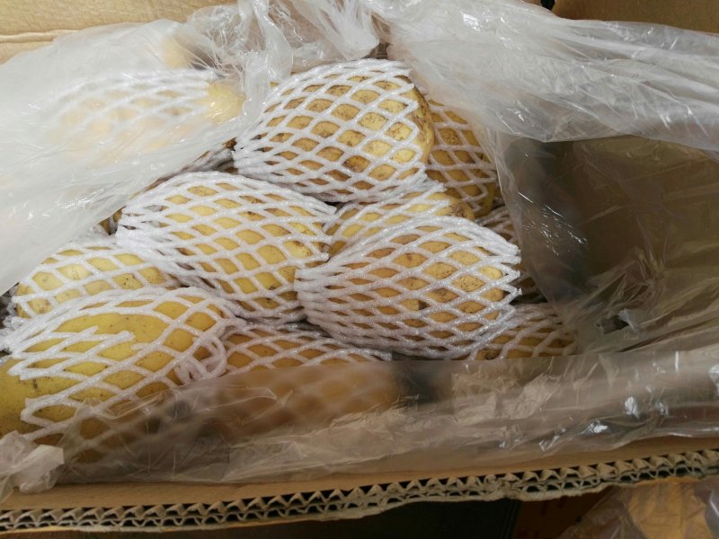 荷兰十五土豆品种多多，黄壤的，甜，面质量很好。表光很好。