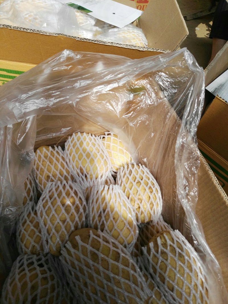荷兰十五土豆品种多多，黄壤的，甜，面质量很好。表光很好。