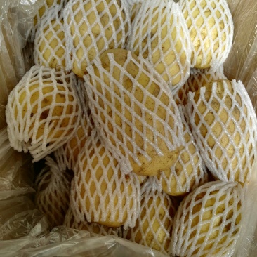 荷兰十五土豆品种多多，黄壤的，甜，面质量很好。表光很好。