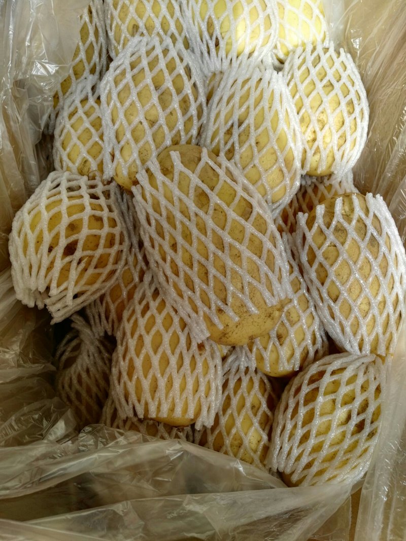 荷兰十五土豆品种多多，黄壤的，甜，面质量很好。表光很好。