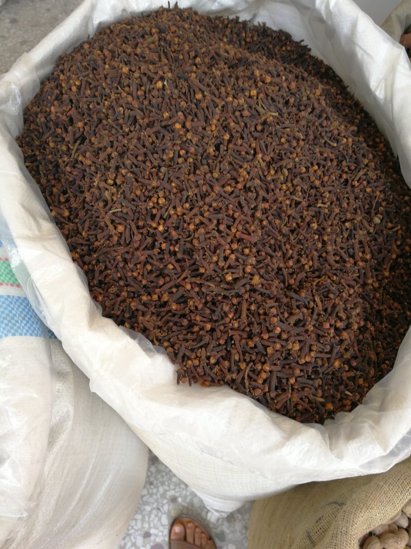 丁香公丁香各种香料量大从优调味料