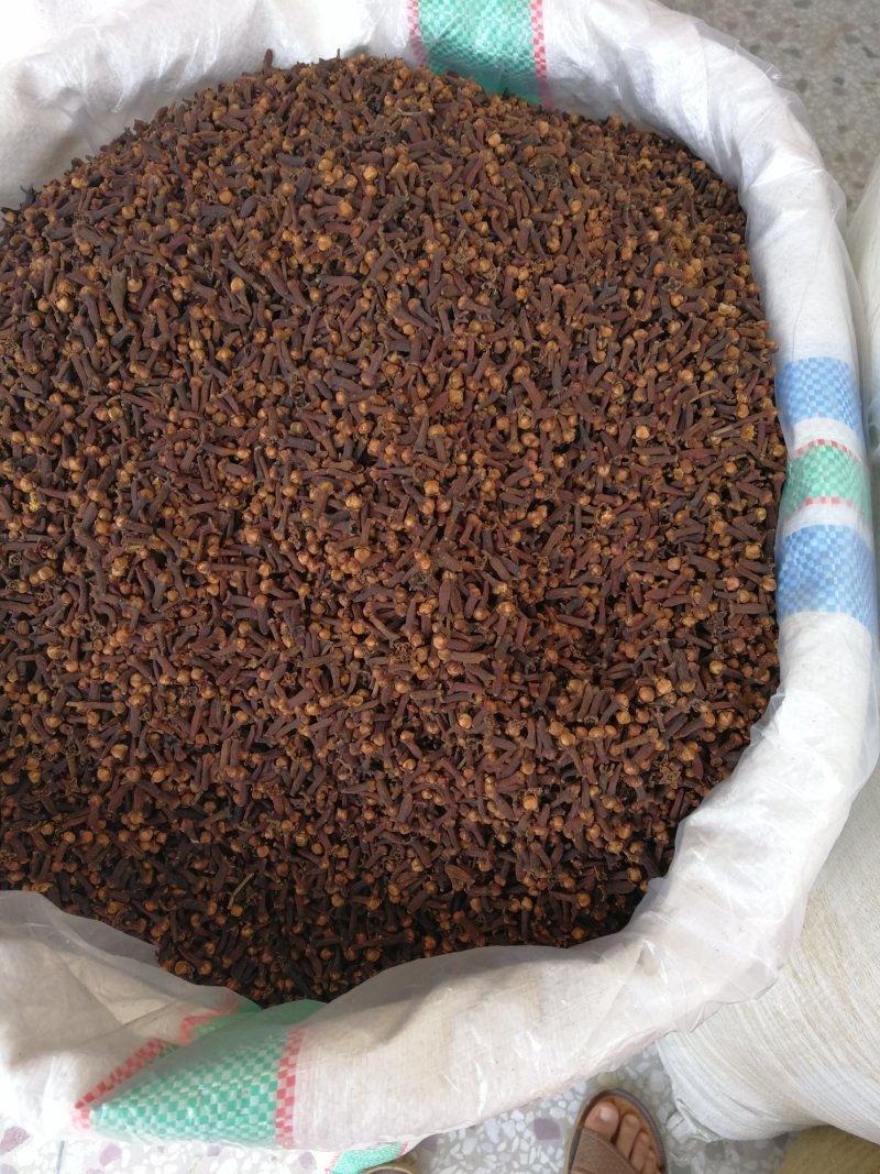 丁香公丁香各种香料量大从优调味料