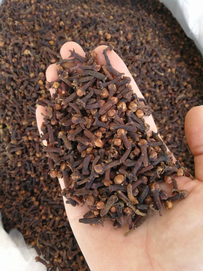 丁香公丁香各种香料量大从优调味料