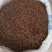 丁香公丁香各种香料量大从优调味料