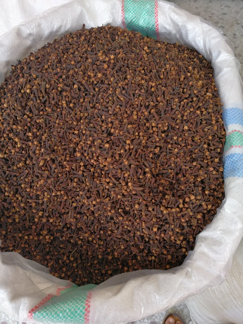 丁香公丁香各种香料量大从优调味料
