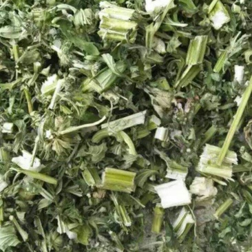 益母草