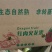 火龙果