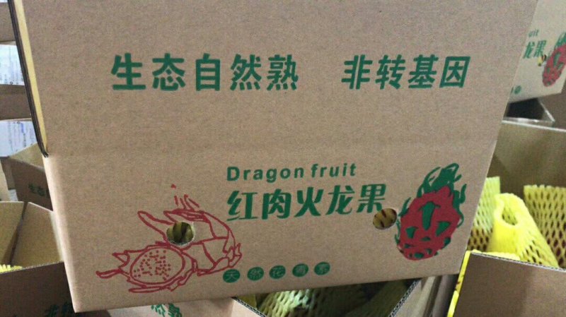 火龙果