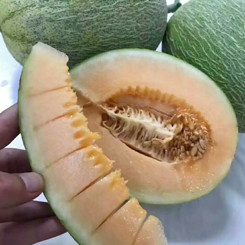 哈密瓜5斤30包邮