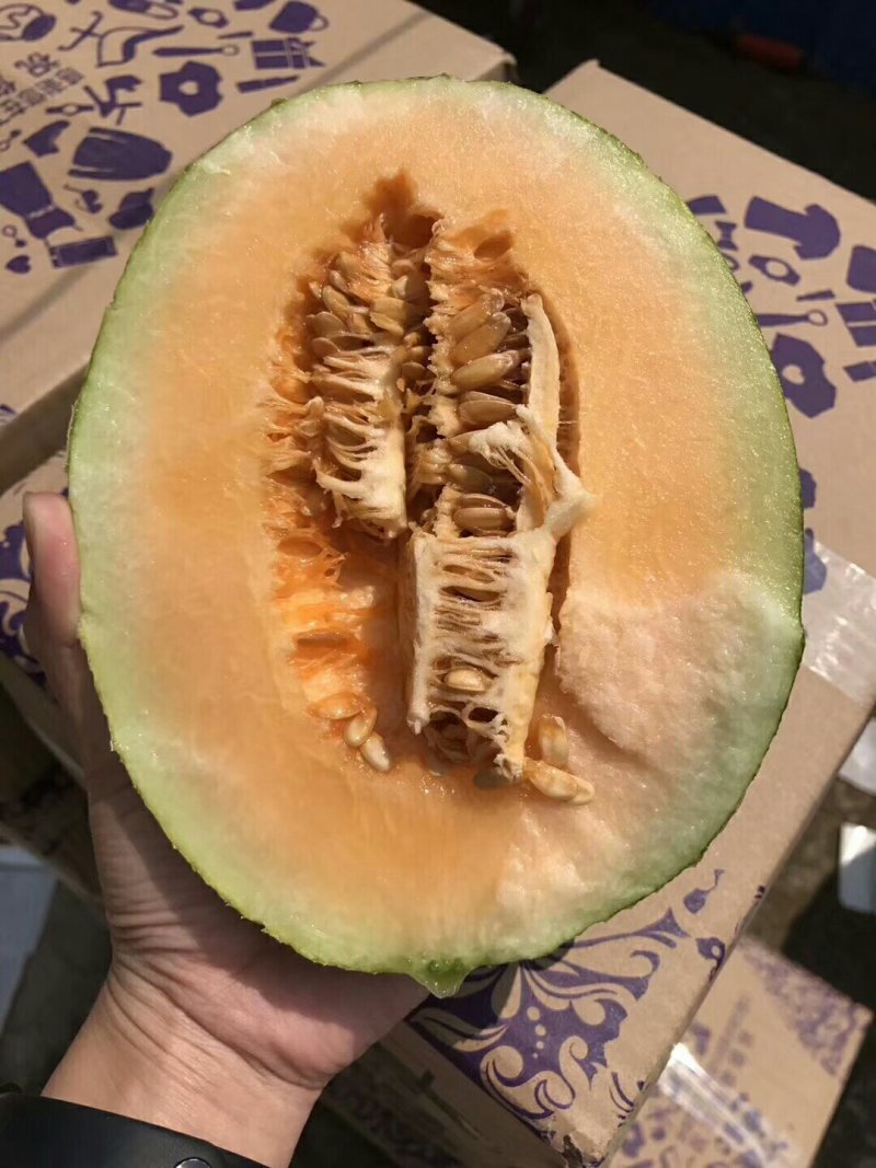 哈密瓜5斤30包邮